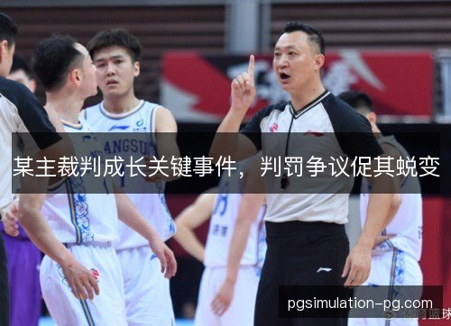 某主裁判成长关键事件，判罚争议促其蜕变